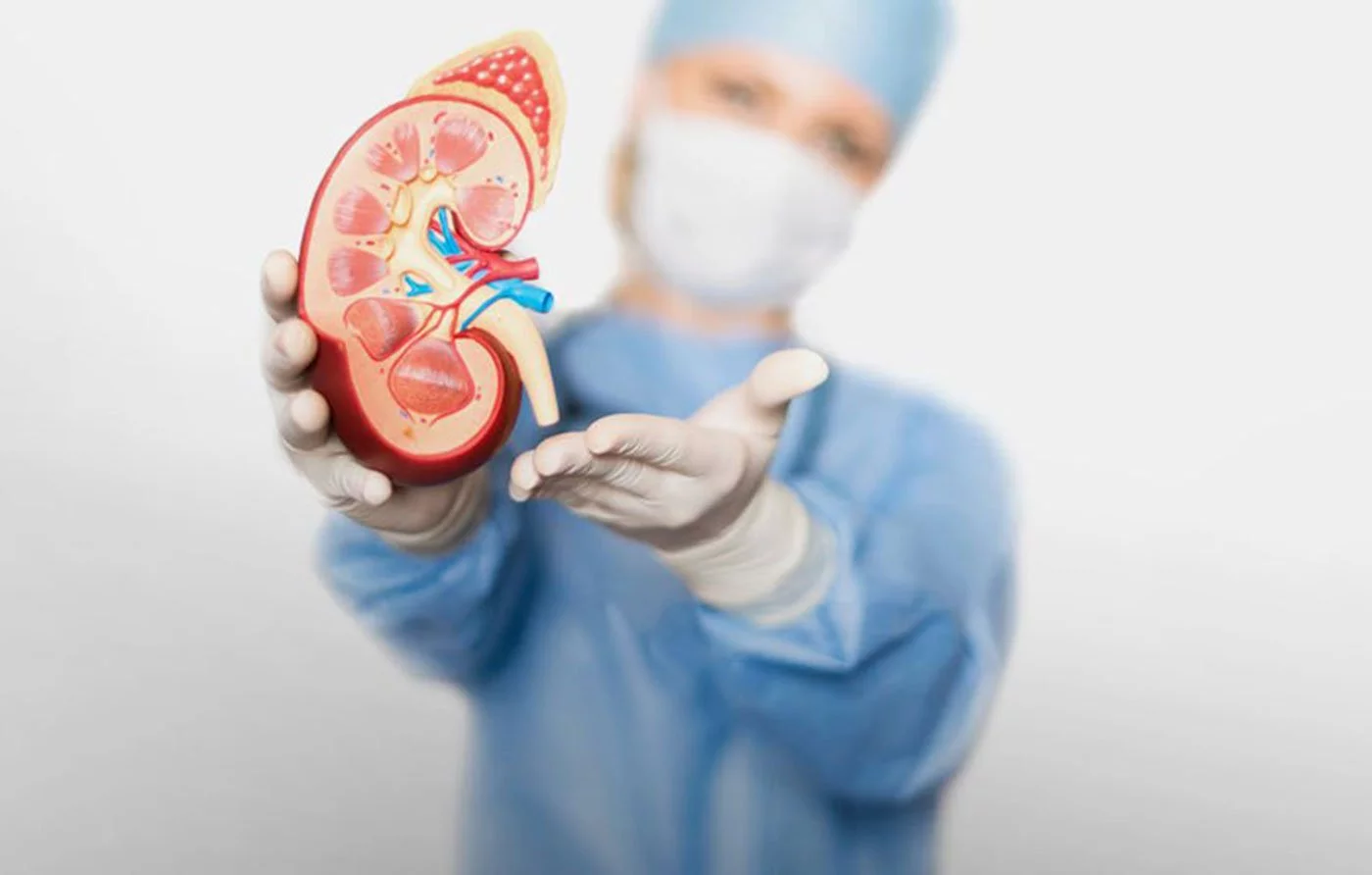 Nefrološki pregled sa ultrazvukom urinarnog trakta